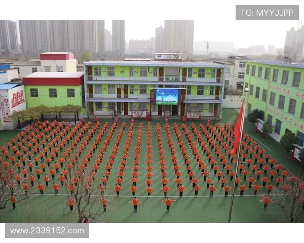 db体育：深入了解各大体育联赛的投注策略